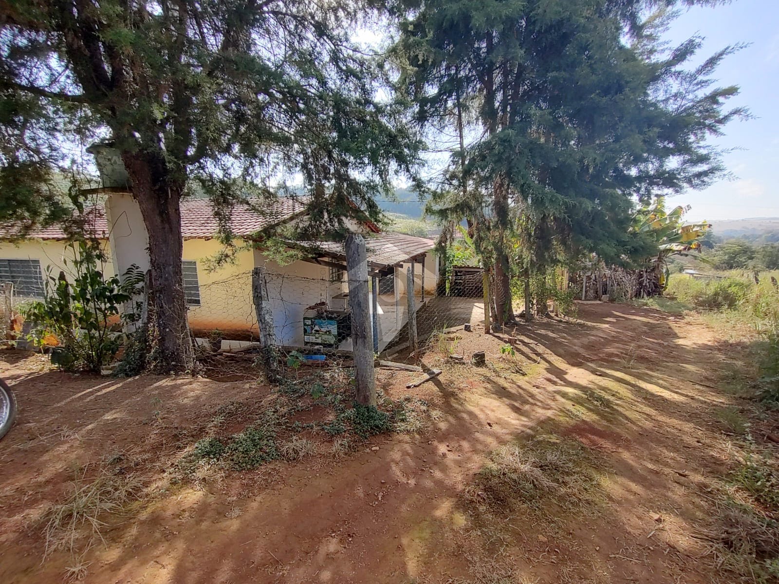 Fazenda, 5 hectares - Foto 7