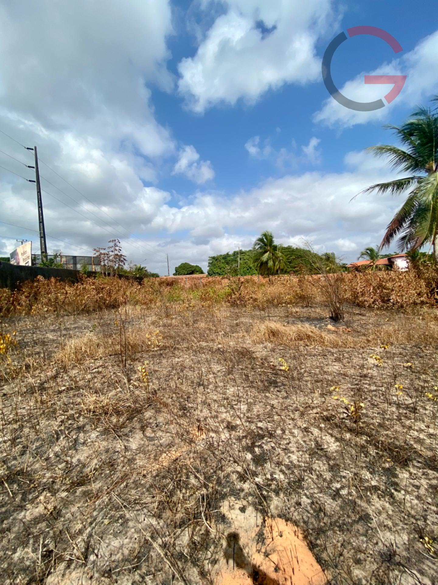 Terreno, 10000 m² - Foto 7