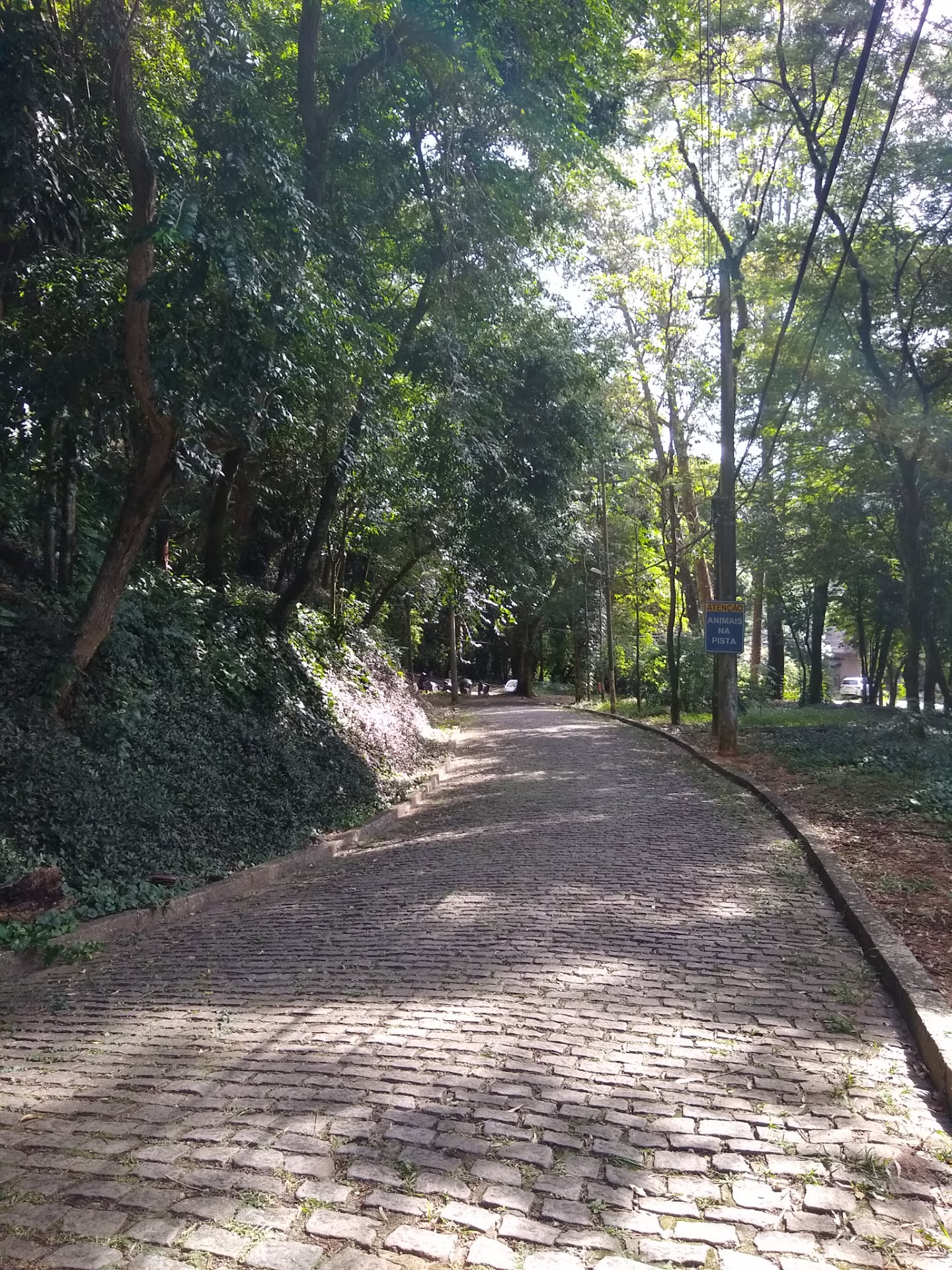 Rua interna do condomínio