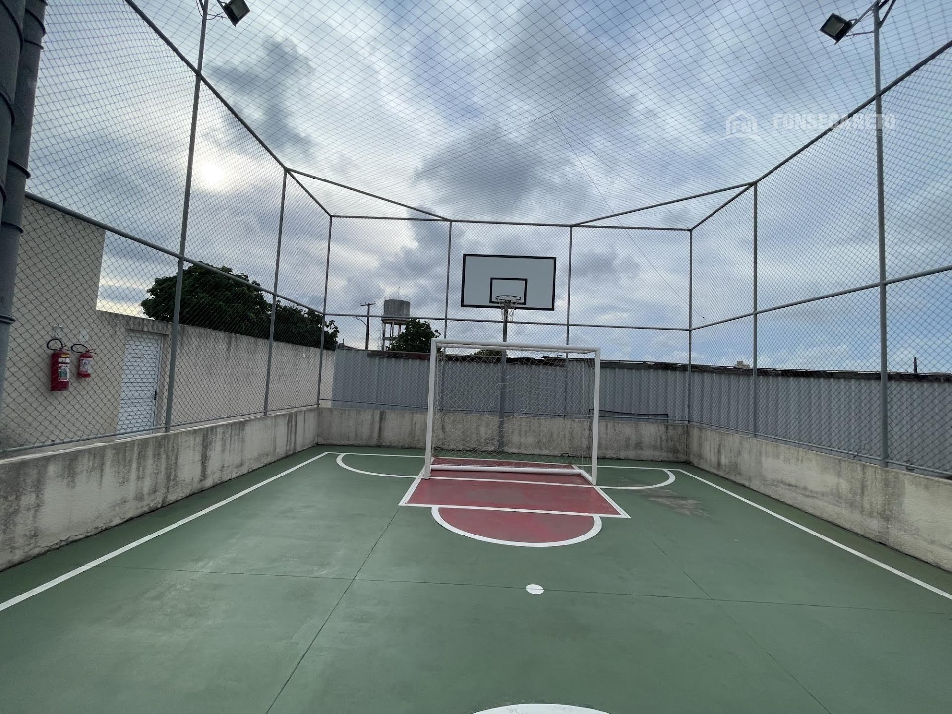 IMG_6337.jpeg