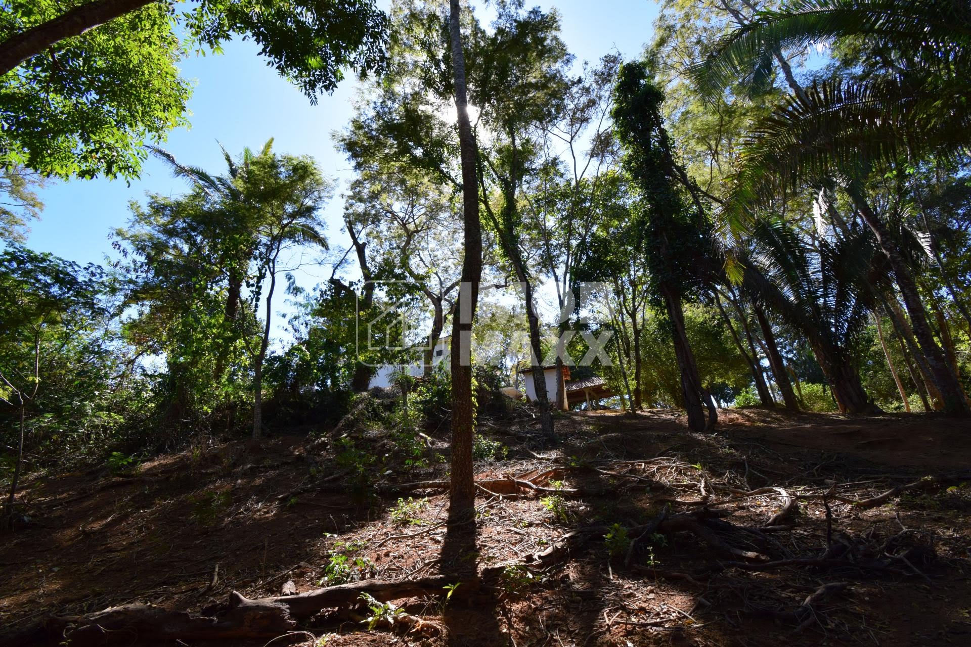 Chácara, 5 quartos, 5 hectares - Foto 33