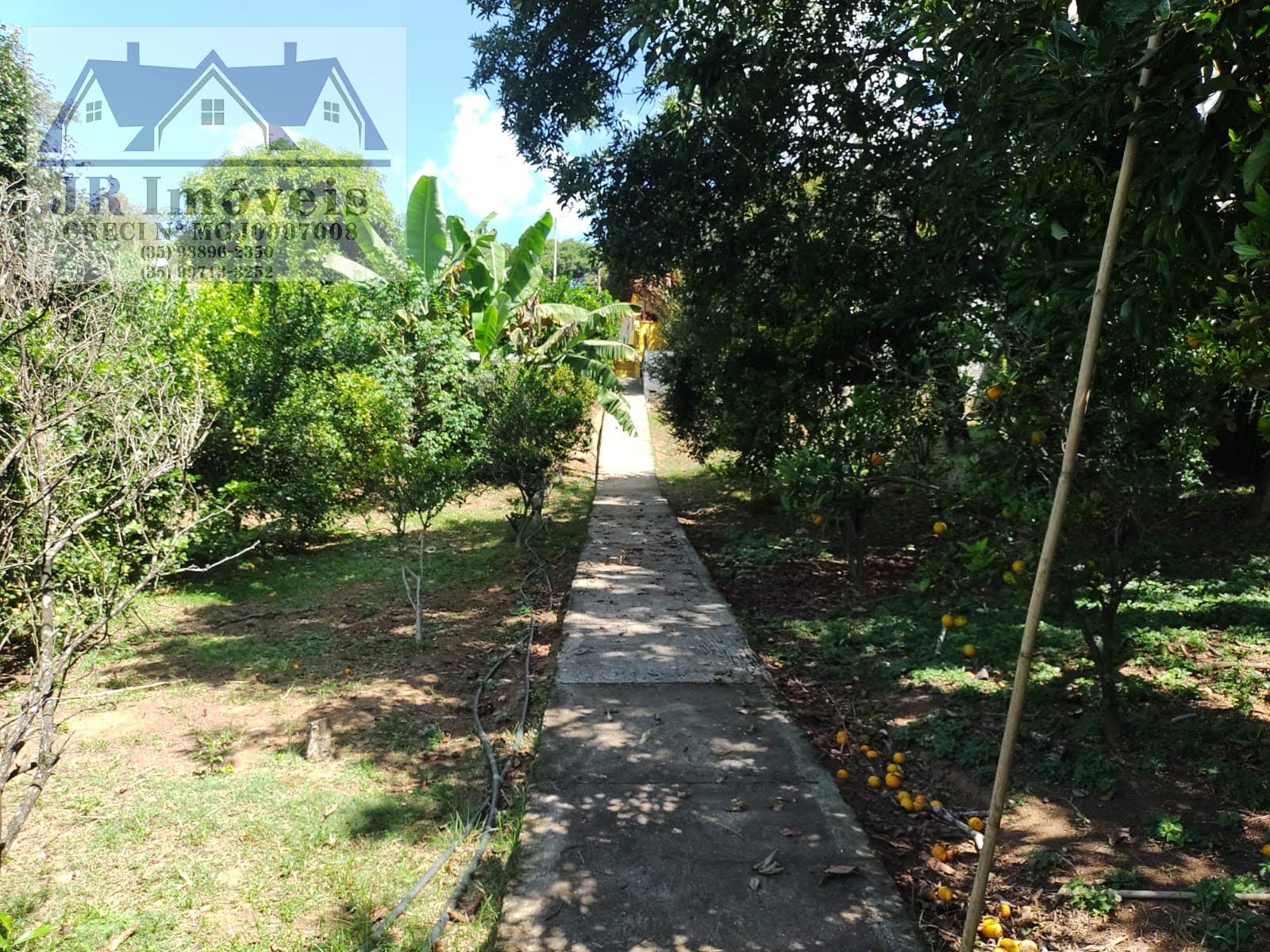 Rural à venda com 12000m² de terreno no Carneiros, Piranguinho (MG) — foto 16 de 25