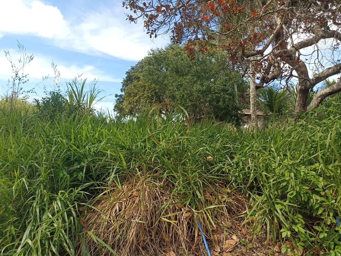Terreno à venda com 289m² de terreno no Jardins do Descobrimento, Porto Seguro (BA) — foto 5 de 6