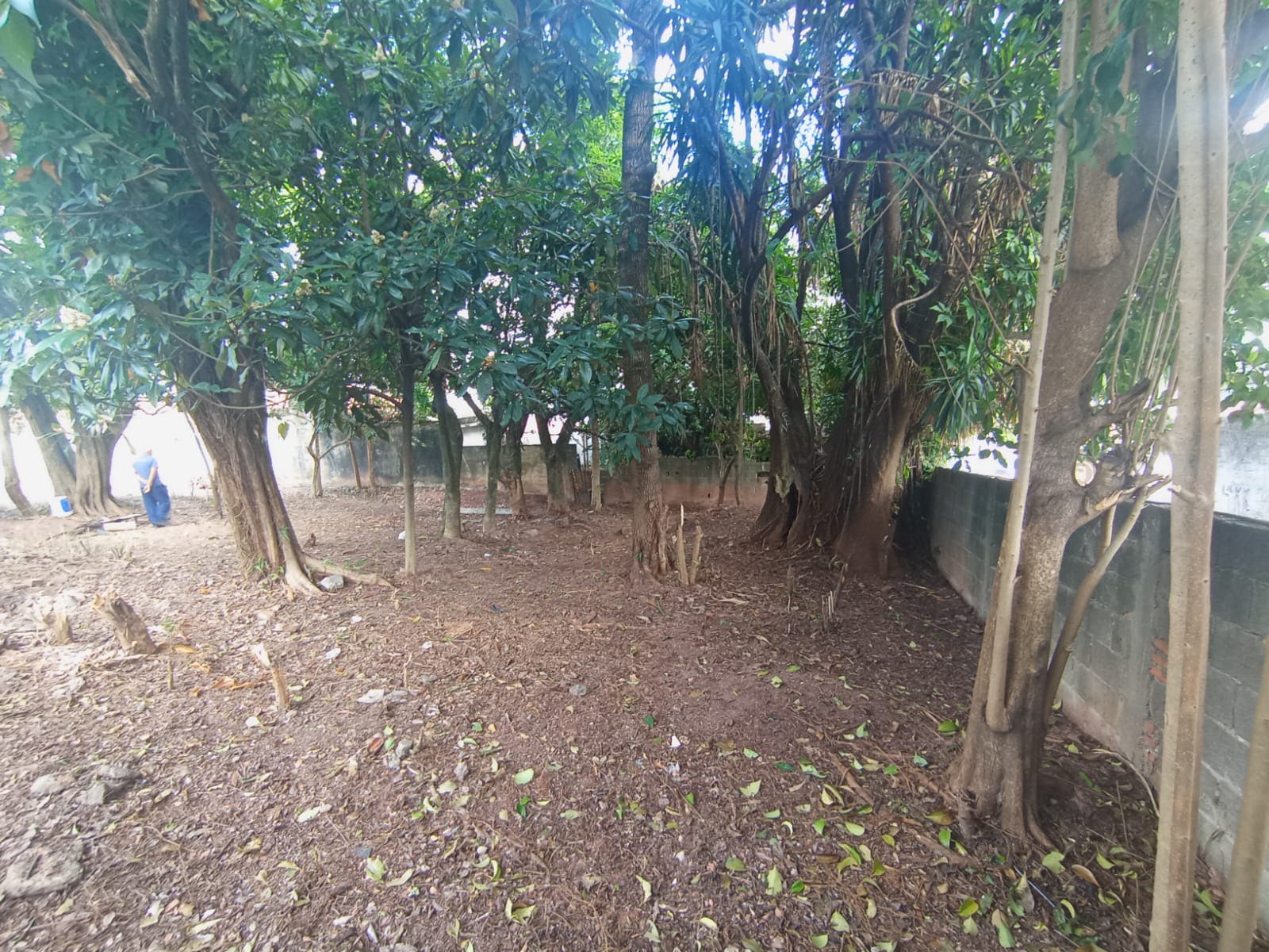 Apartamento à venda no Vila Zat, São Paulo (SP) — foto 15 de 16
