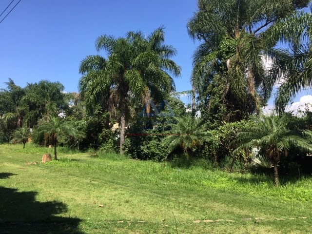 Terreno à venda com 1700m² de terreno no Campo Belo, São Paulo (SP) — foto 10 de 26