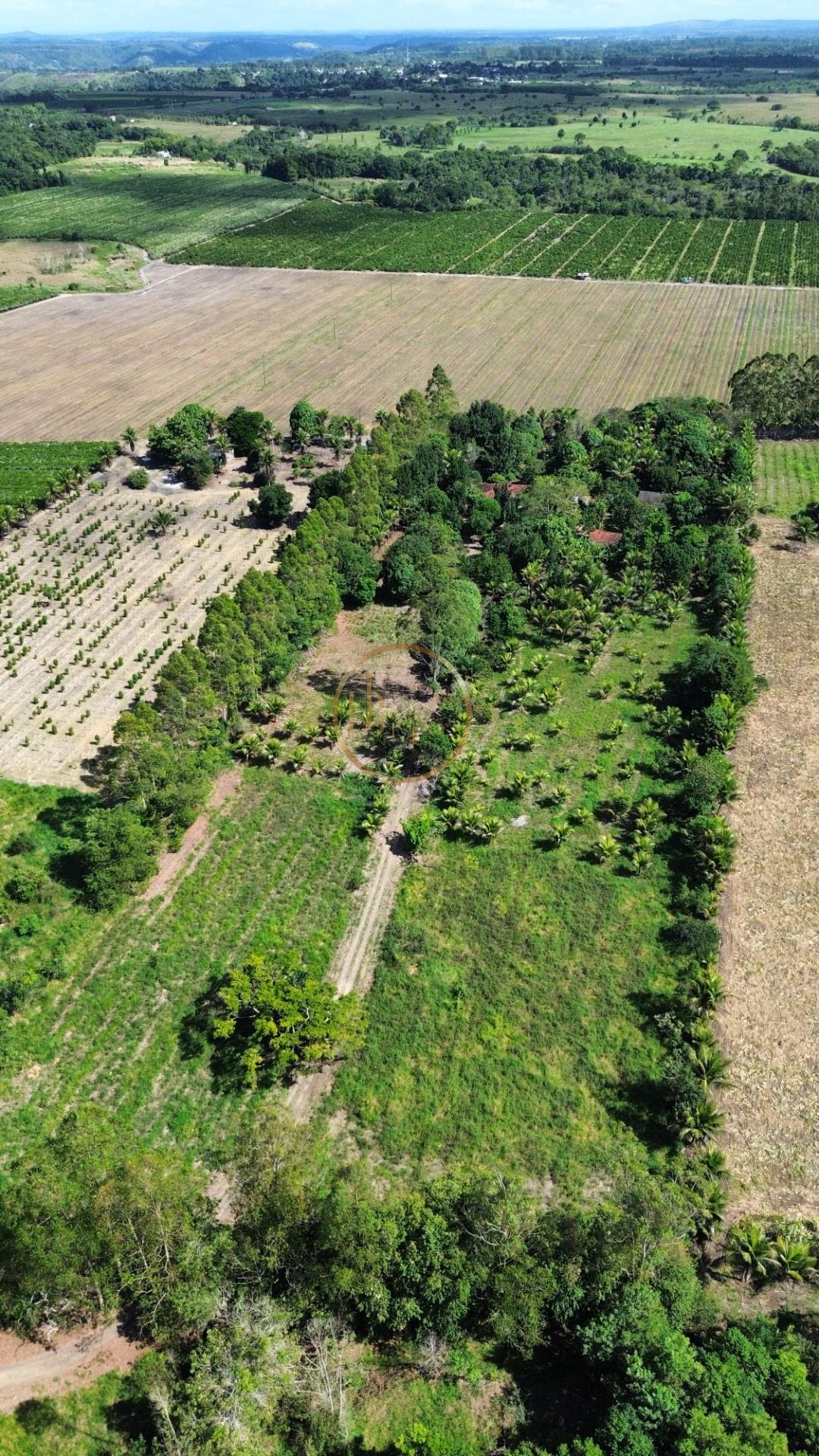Rural à venda com 35000m² de terreno no Br367, Porto Seguro (BA) — foto 8 de 17