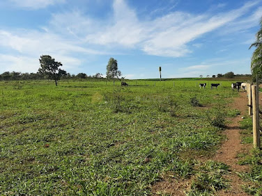 Sítio com 14 hectares próximo a Campo Verde - MT