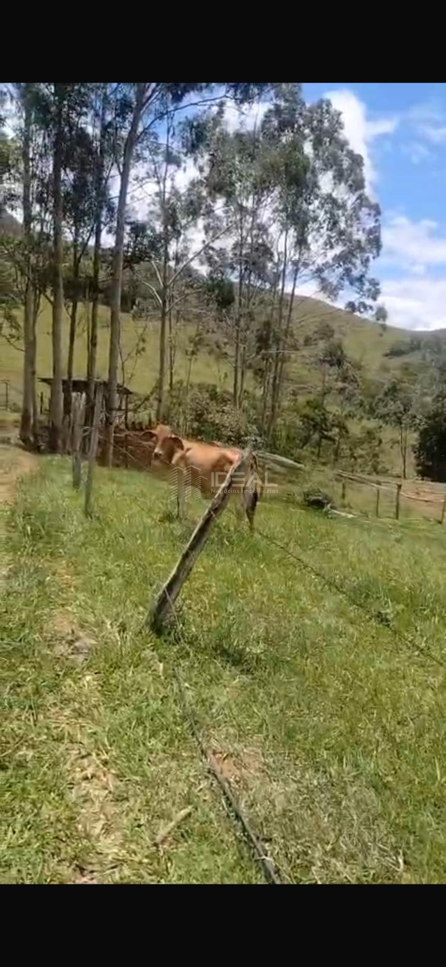 Terreno à venda com 299475m² de terreno no São José, São Fidélis (RJ) — foto 15 de 15