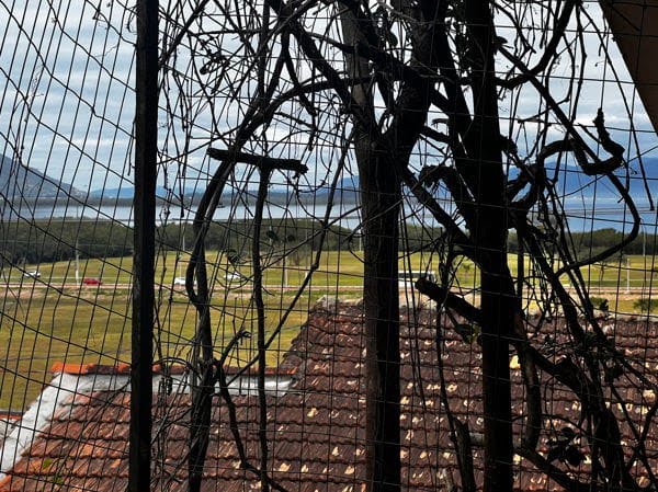 Terreno à venda com 8274m² de terreno no Saco dos Limões, Florianópolis (SC) — foto 8 de 11