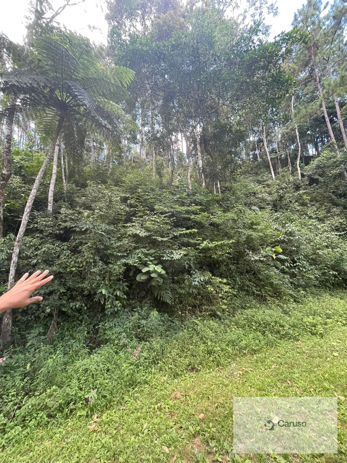 Terreno à venda com 1300m² de terreno no Arujázinho I, II e III, Arujá (SP) — foto 3 de 4
