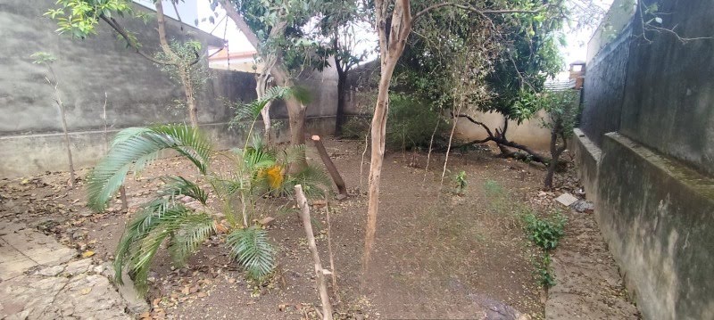 Foto 02