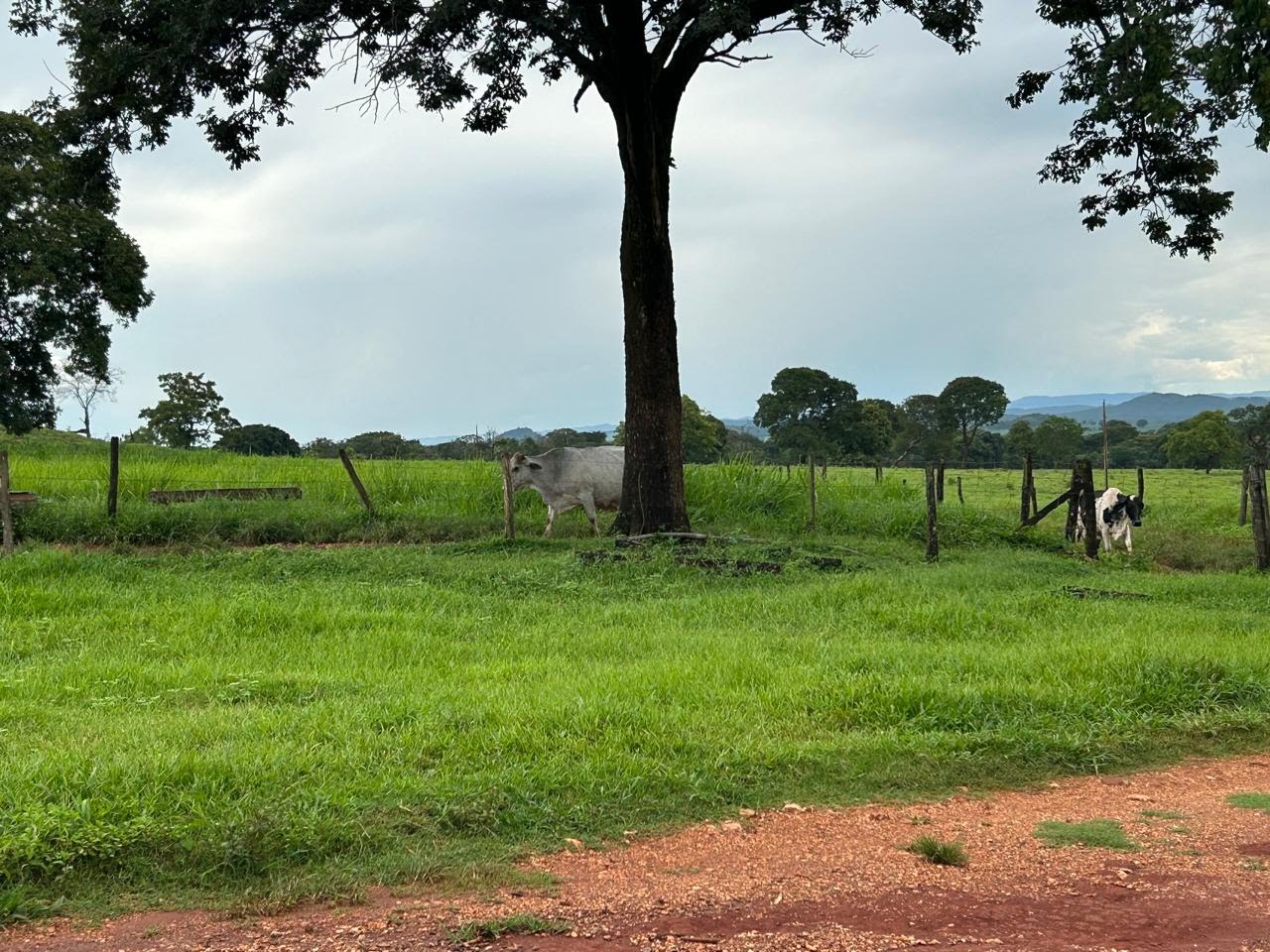 Rural à venda no I I, Paracatu (MG) — foto 2 de 12