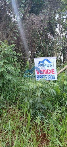 Lote / Terreno em Vivendas do Vale  -  Mateus Leme