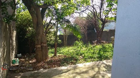 Foto 06