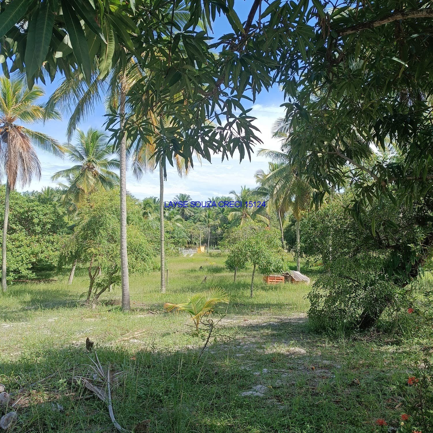 Foto 03