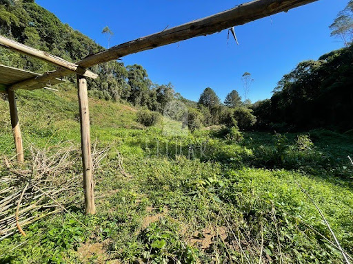 Foto 04
