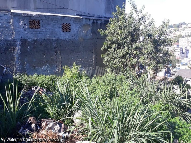 Foto 01