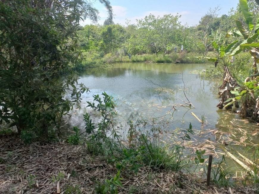 Rural à venda com 6000m² de terreno no Bonanza, Santa Luzia (MG) — foto 5 de 30