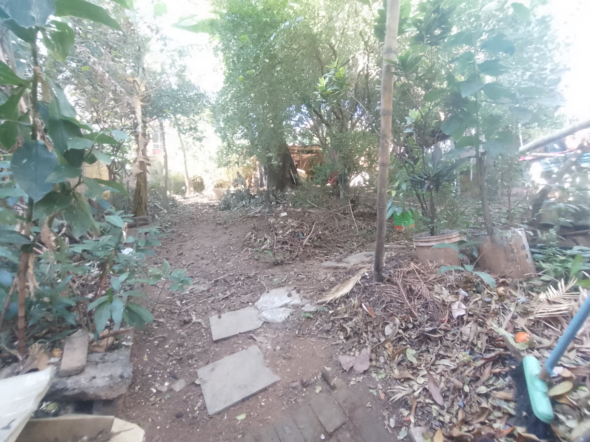 Casa, 5 quartos, 500 m² - Foto 6