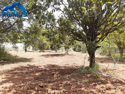 Terreno LOTE em Centro  -  Mateus Leme