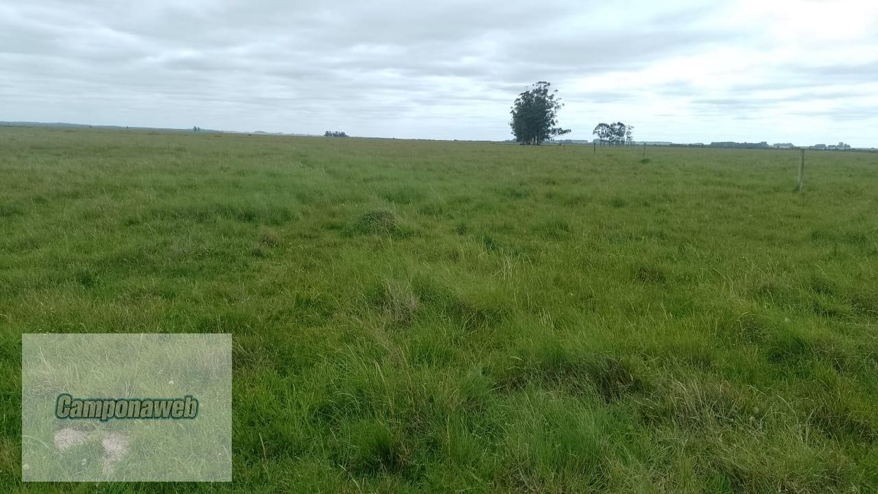 terra para soja no Rio Grande do Sul