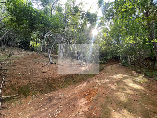 Sítio em Zona Rural - Cataguases, MG