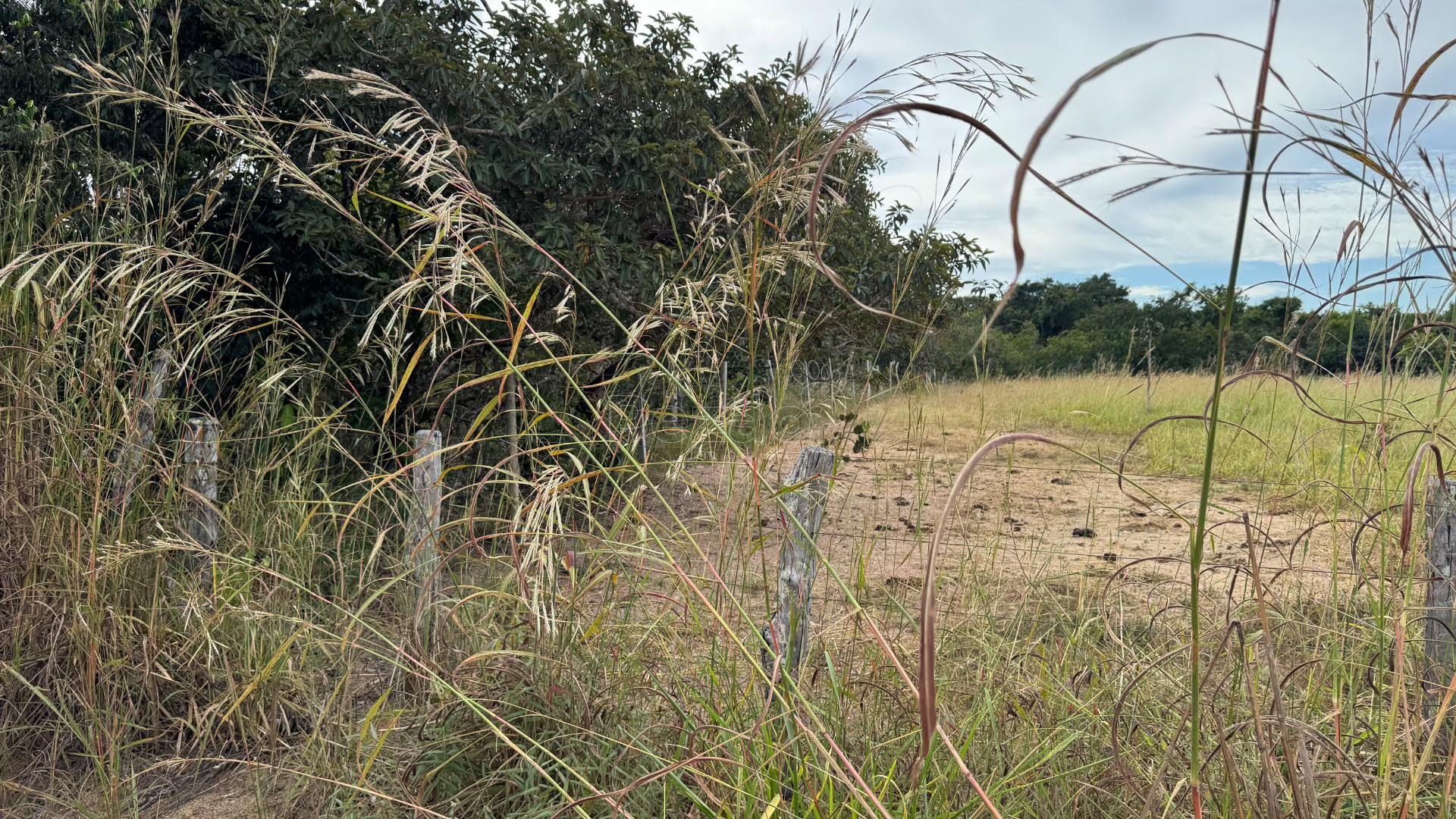 Rural à venda com 1324m² de terreno no Chacara, Itapuranga (GO) — foto 25 de 30