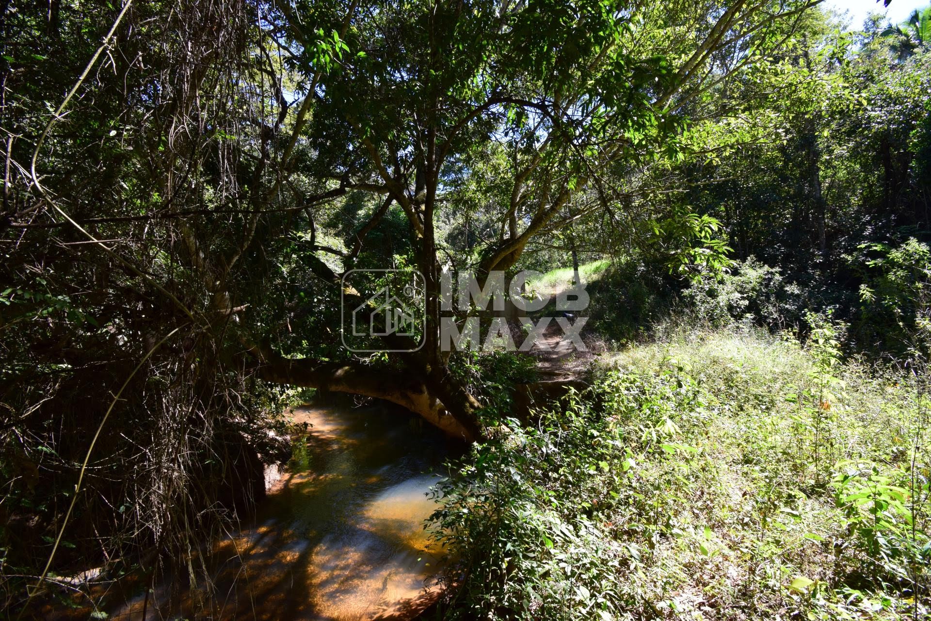 Chácara, 5 quartos, 5 hectares - Foto 39