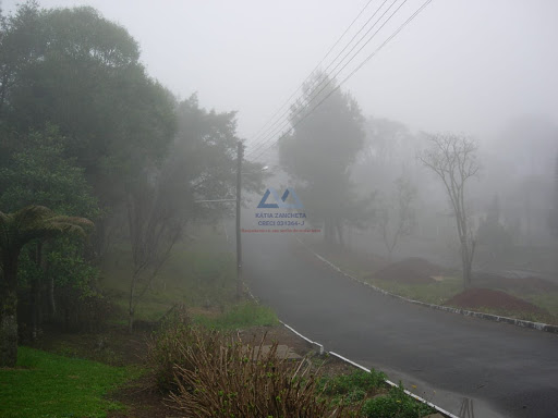 VISTA DA RUA