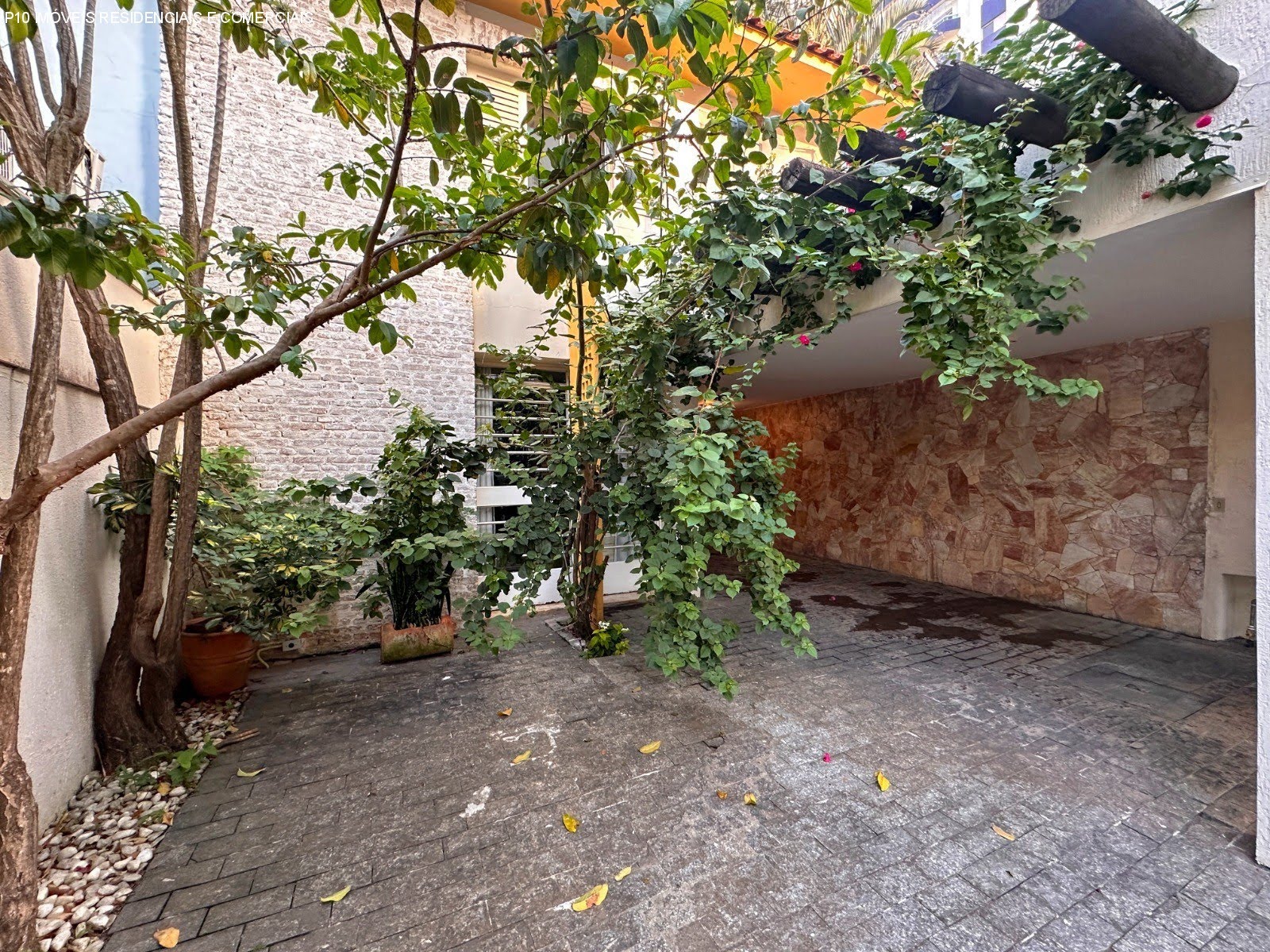 Foto 07