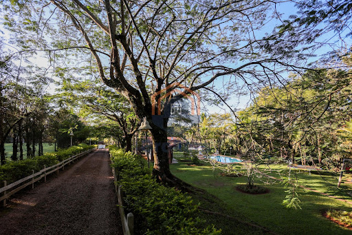 SÍTIO PINHEIRO - LOUVEIRA