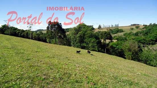 Rural à venda com 50000m² de terreno no Ribeirão do Meio (rib. Claro), Joaquim Távora (PR) — foto 7 de 10