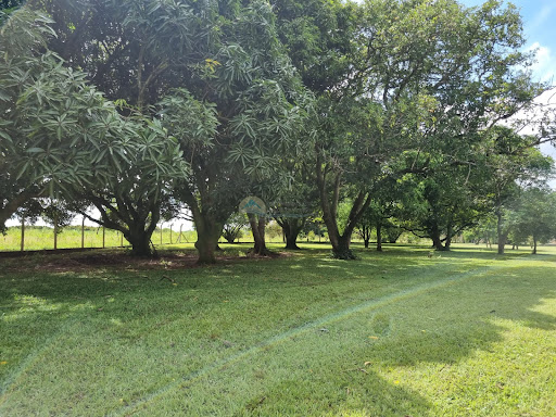 Sitio a venda em Casa Branca 