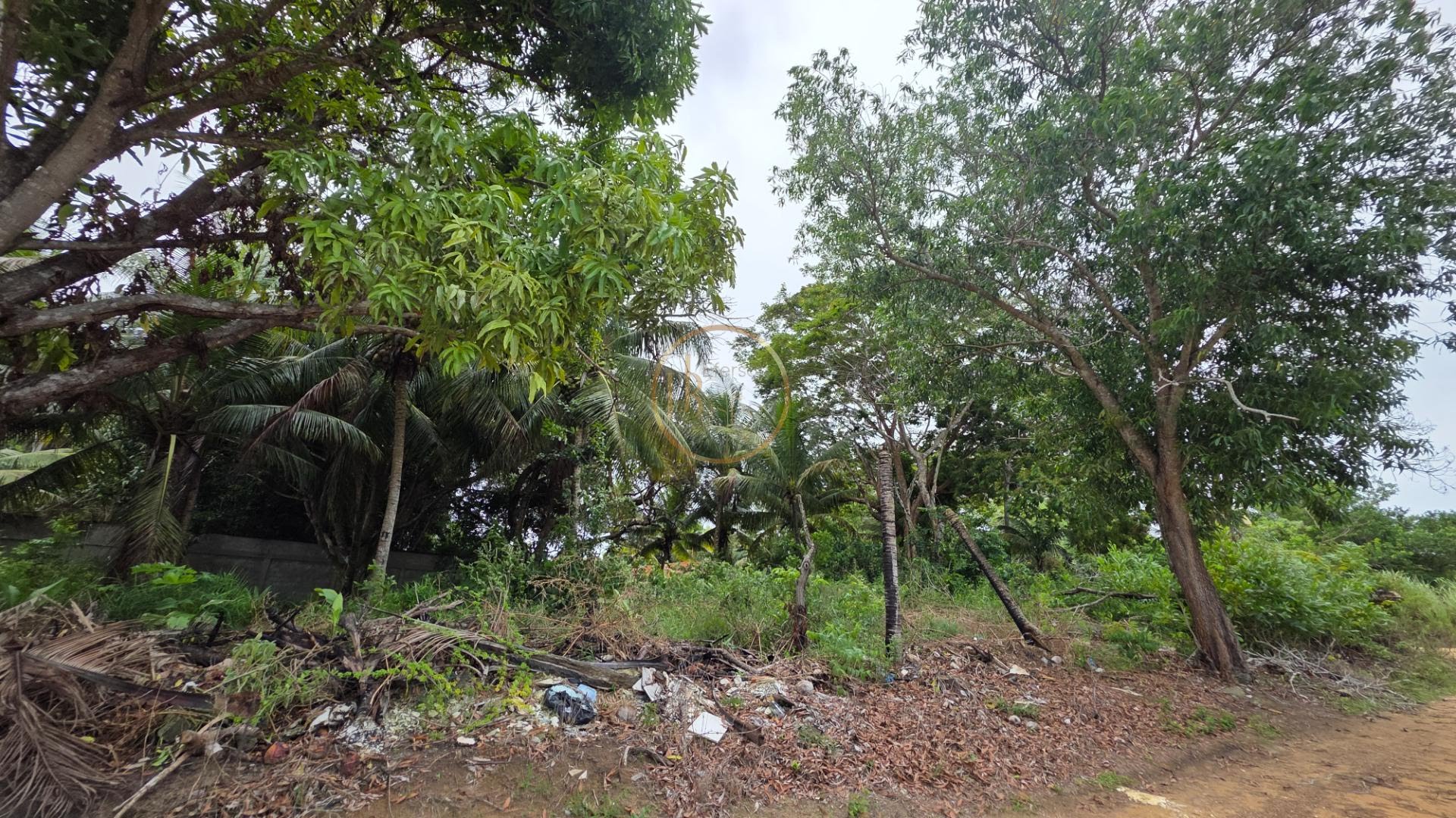 Terreno à venda com 1100m² de terreno no Nova Cabrália, Santa Cruz Cabrália (BA) — foto 4 de 10