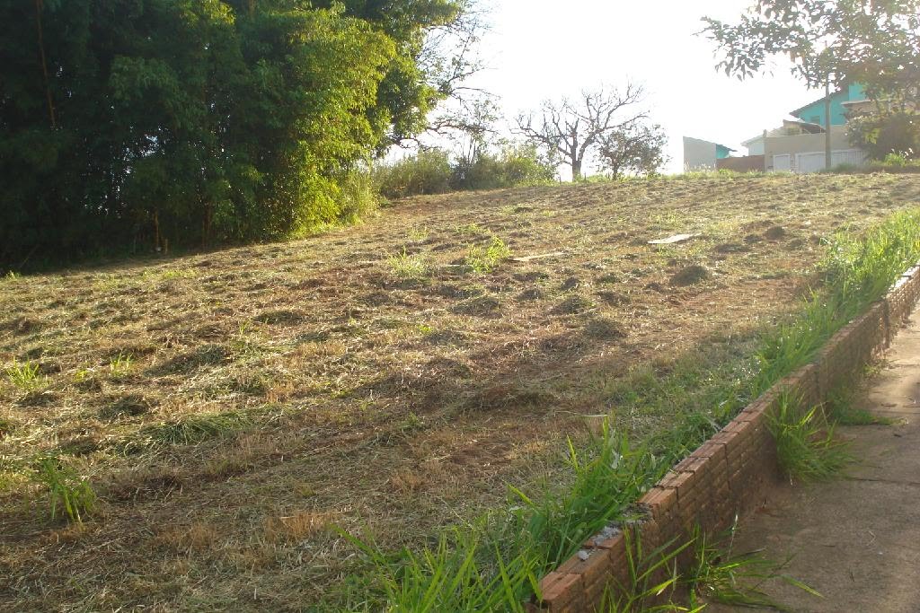 Vista Lateral