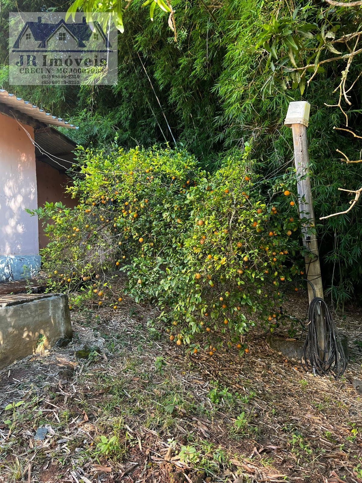 Rural à venda com 3046m² de terreno no Laje, Piranguinho (MG) — foto 11 de 30