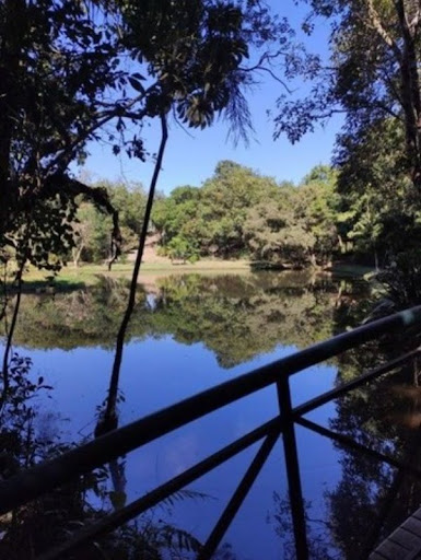 Foto 13