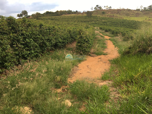 Sítio a venda em São Sebastião da Grama SP