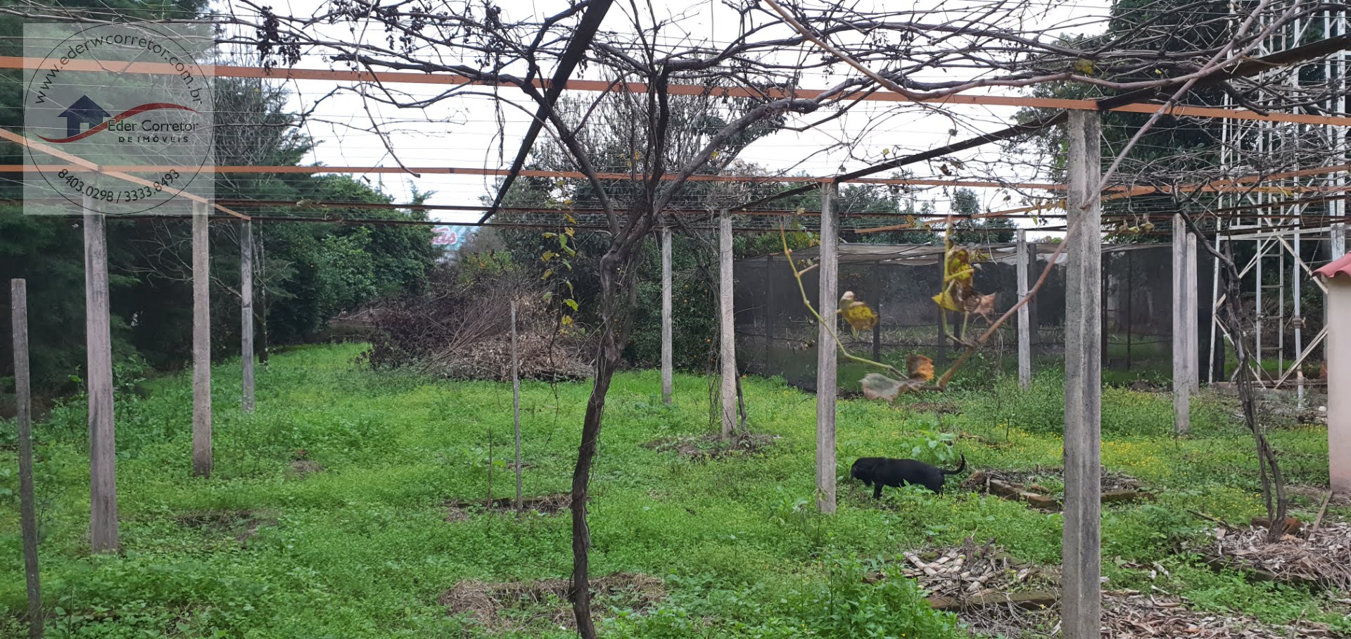 Casa à venda com 4 quartos, 2 suítes, 2 vagas e 397m² no Storch, Ijuí (RS) — foto 19 de 30