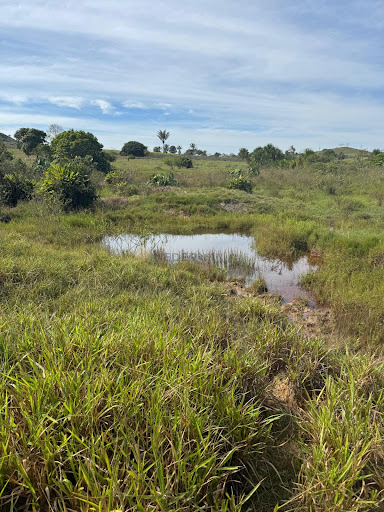 Sítio a 10 km de Juína