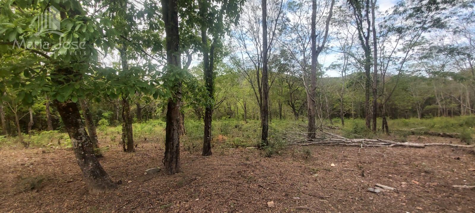 Terreno à venda com 7m² de terreno no Saco da Vida, Sete Lagoas (MG) — foto 25 de 28