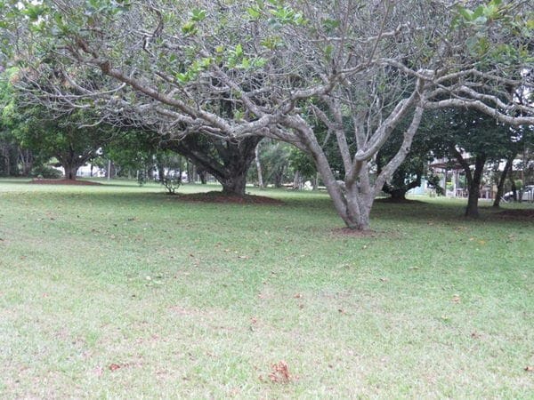 Rural à venda com 45000m² de terreno no Vargem Pequena, Florianópolis (SC) — foto 24 de 28
