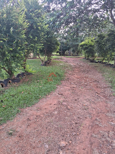 FAZENDA–42 KM DA CIDADE | PECUÁRIA, AGRICULTURA E LAZER