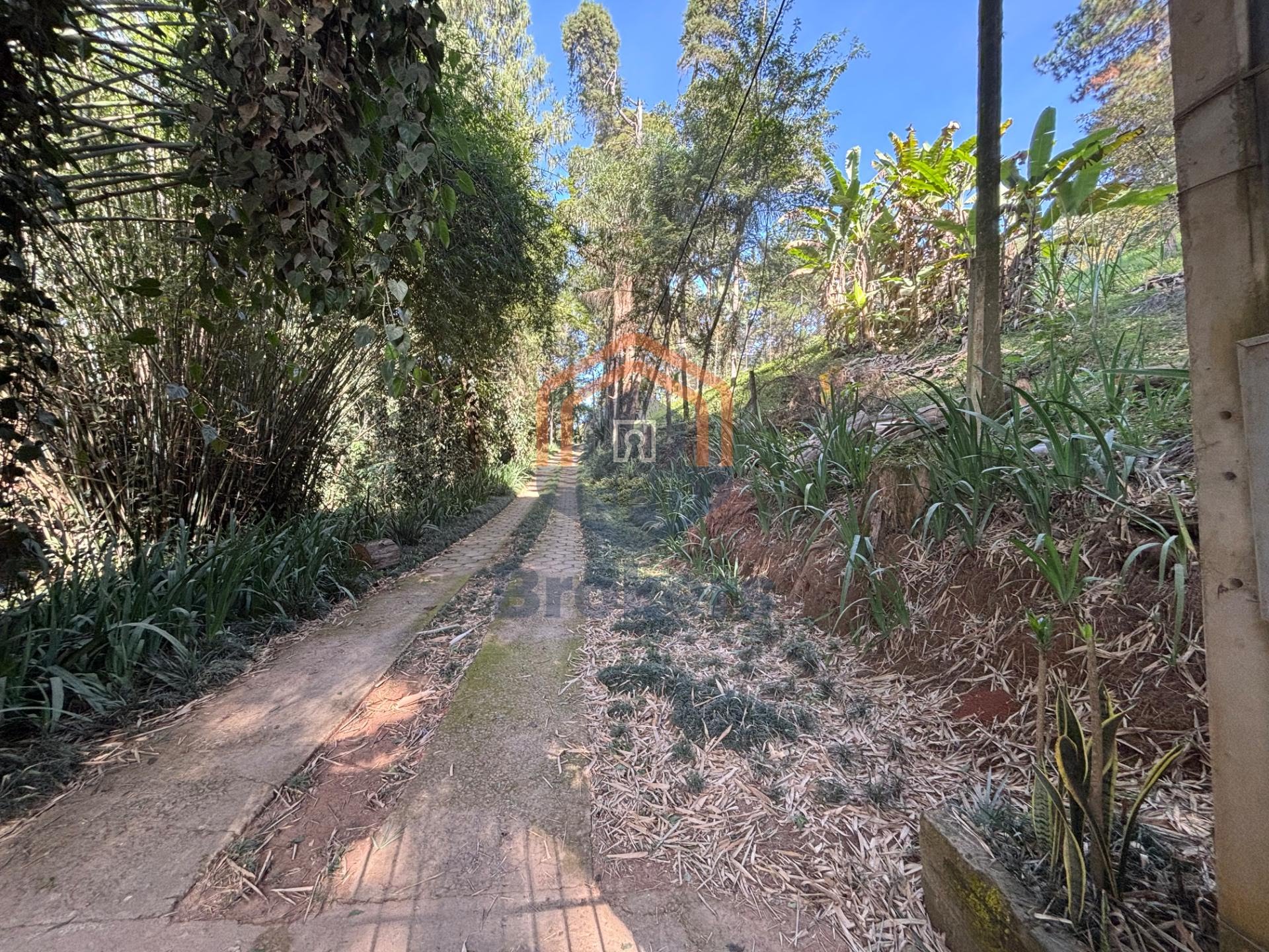 Entrada