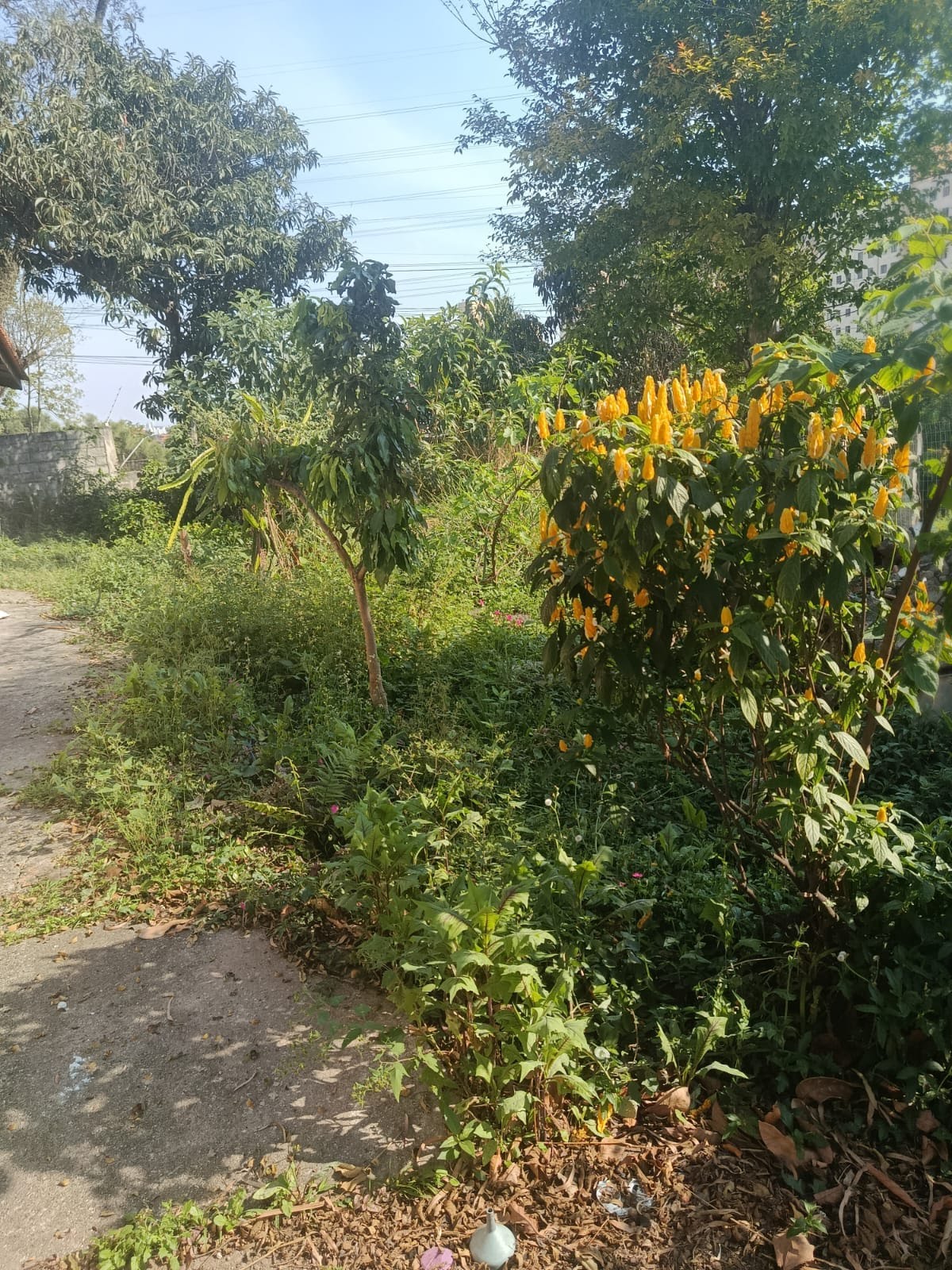 Apartamento à venda no Jardim Mangalot, São Paulo (SP) — foto 11 de 17