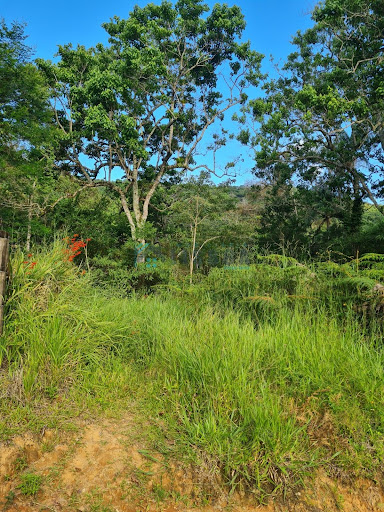 Área em Forquilhas  -  São José