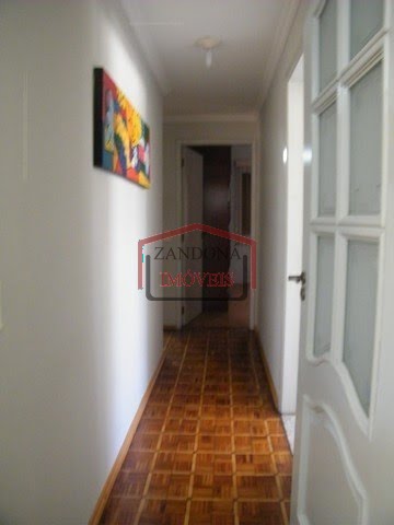 Area Intima
