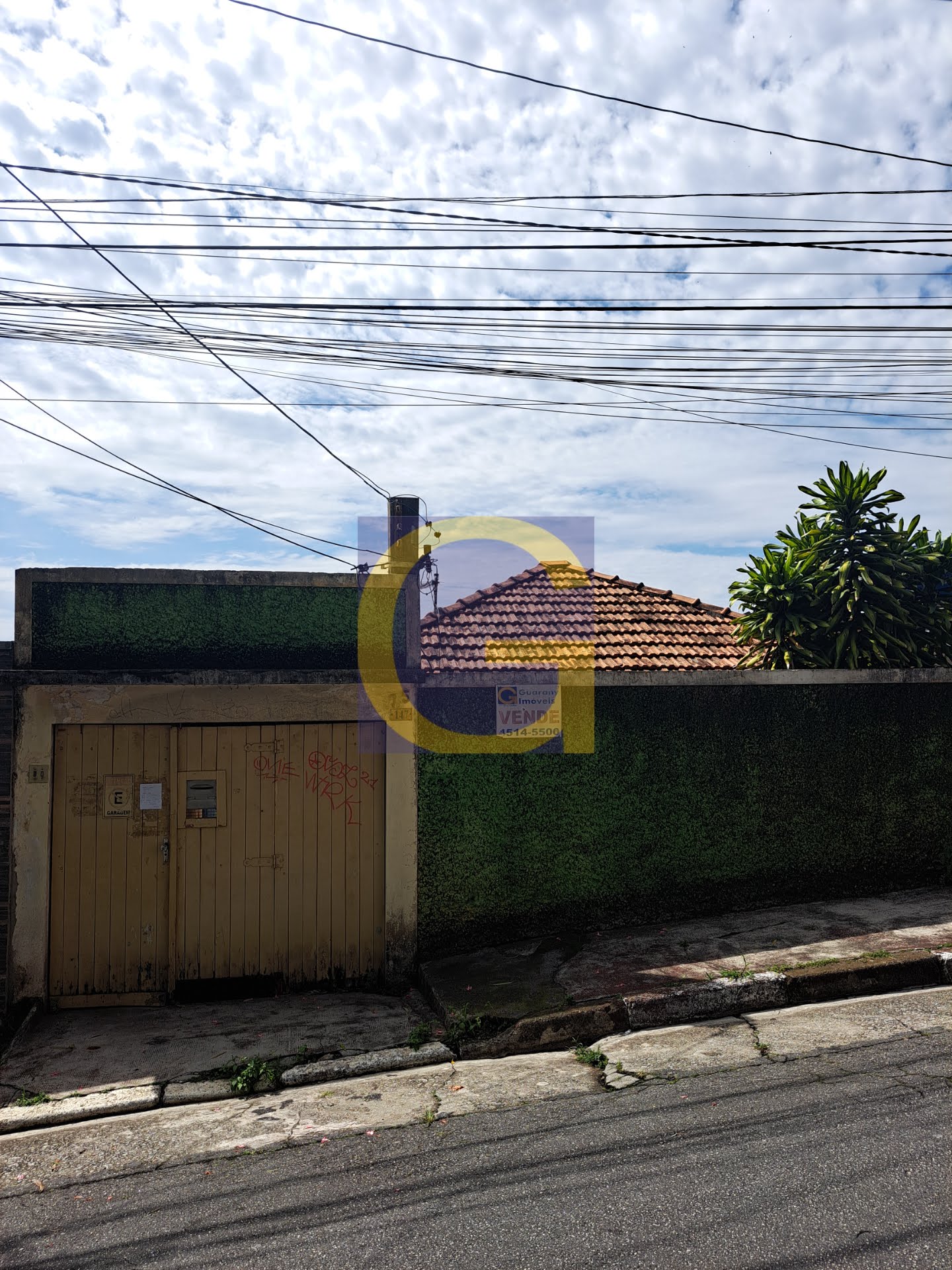 Frente
