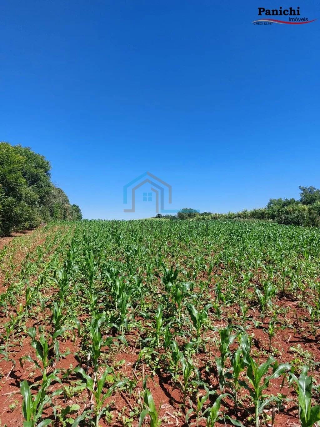 Comercial à venda com 8500m² no Vila Santana, Ijuí (RS) — foto 15 de 16