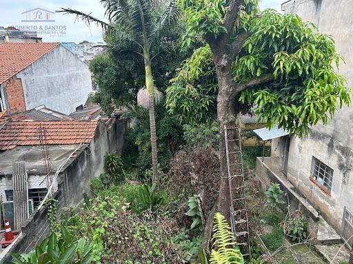 Vista interna do terreno